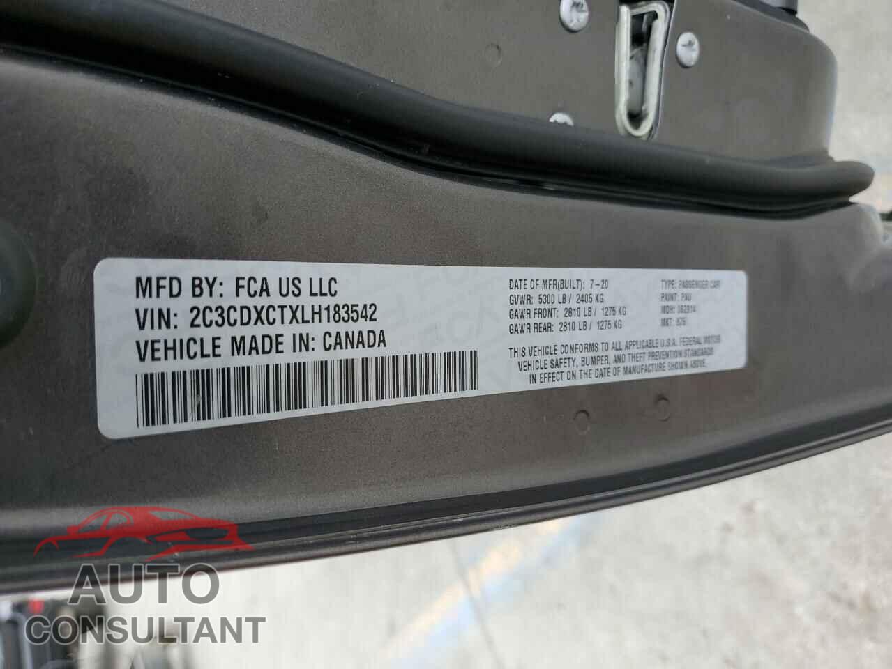 DODGE CHARGER 2020 - 2C3CDXCTXLH183542