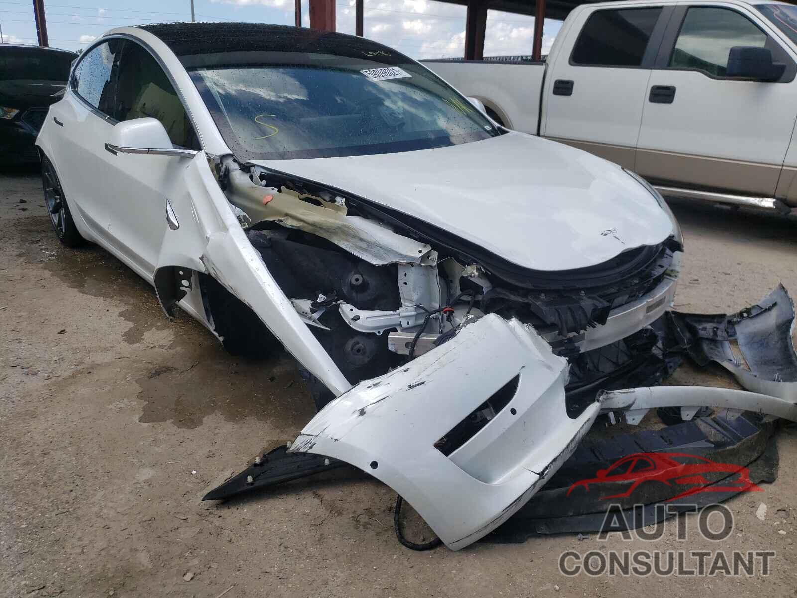 TESLA MODEL 3 2019 - 5YJ3E1EA4KF401254