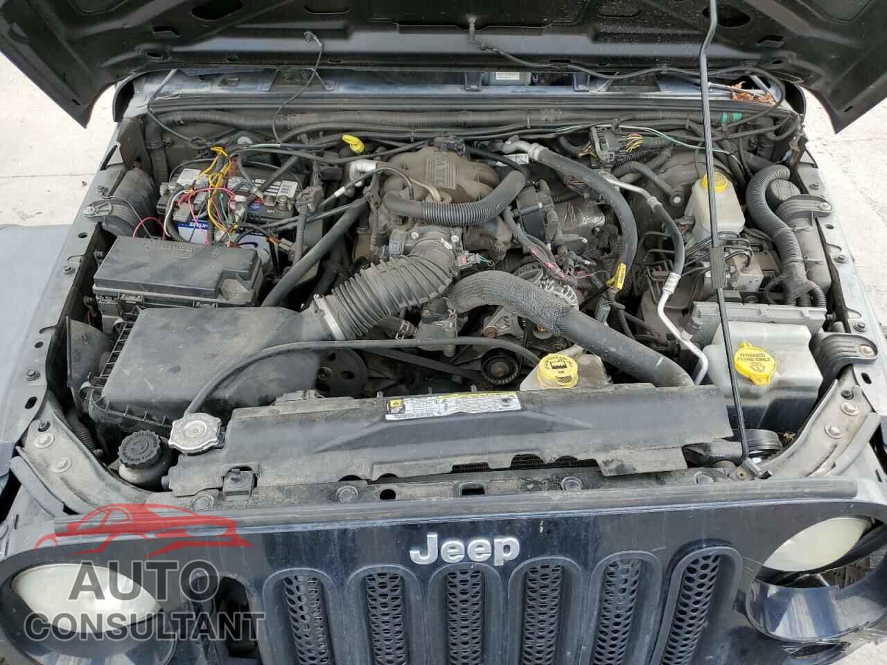 JEEP WRANGLER 2011 - 1J4AA2D19BL614976