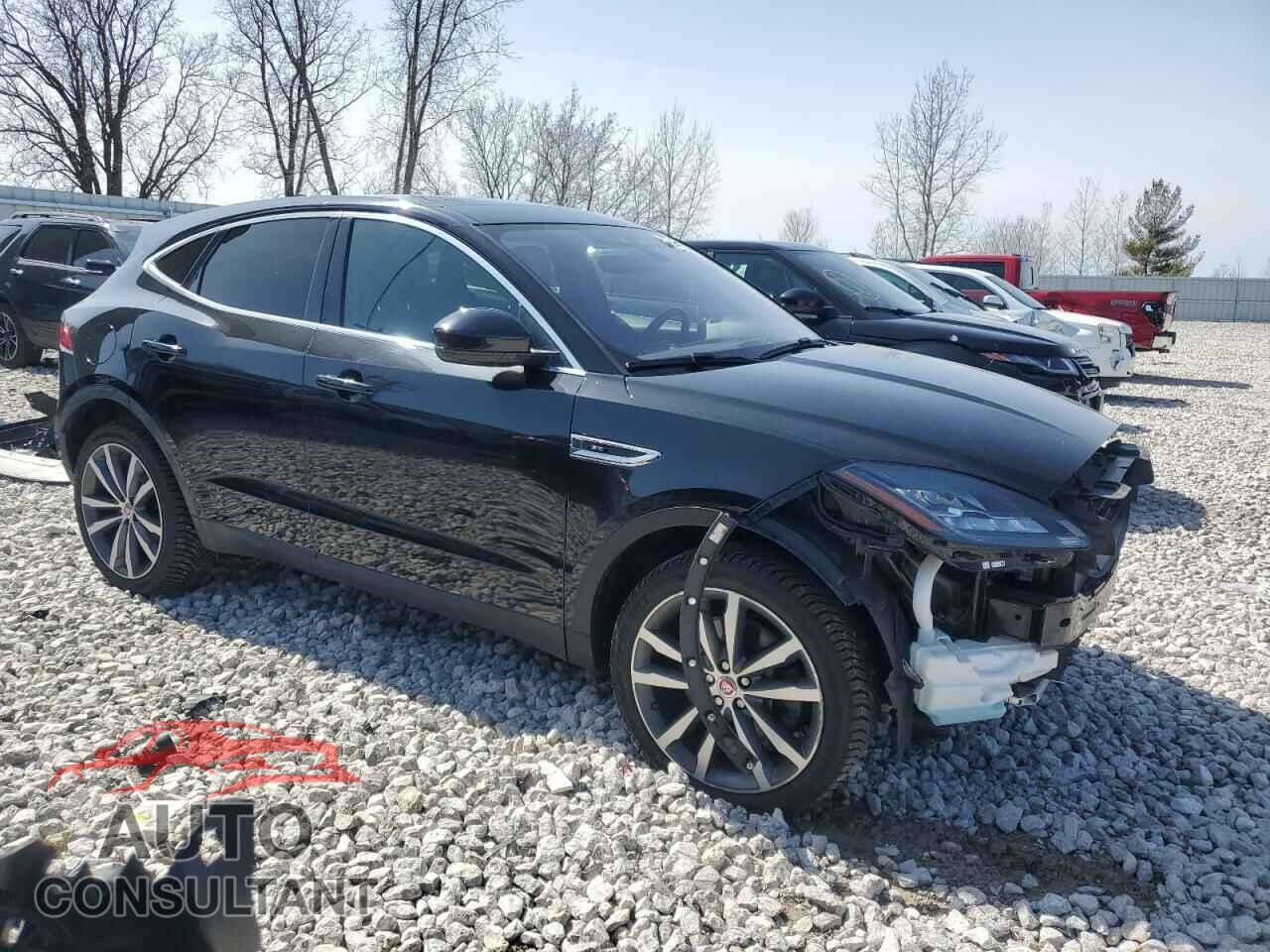 JAGUAR ETYPE 2019 - SADFP2FX3K1Z36380