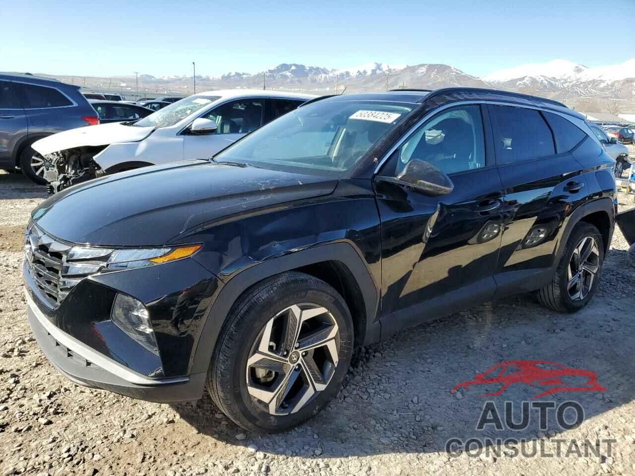 HYUNDAI TUCSON 2024 - 5NMJFCDE7RH431071
