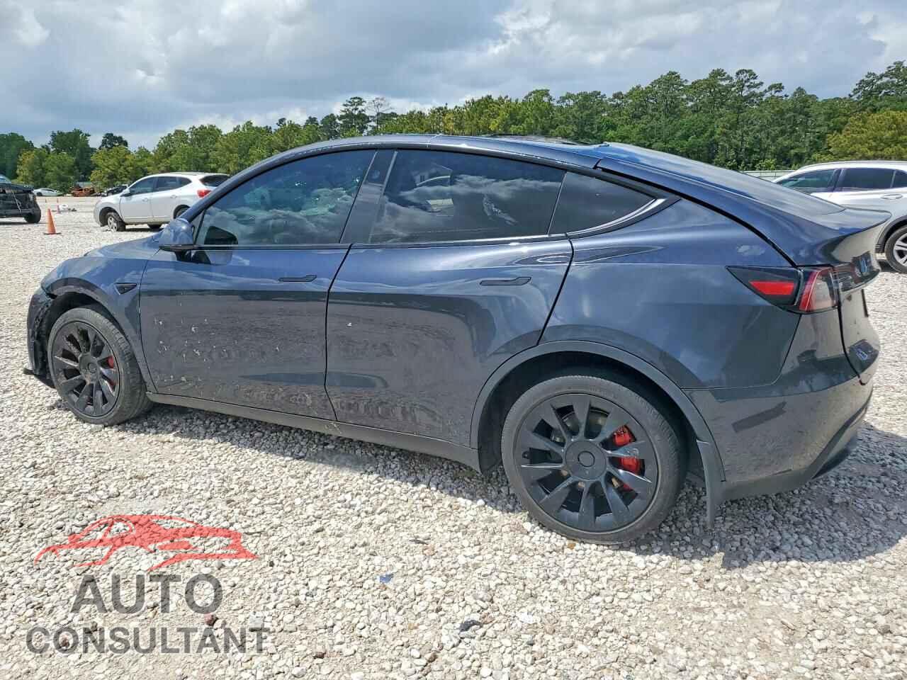 TESLA MODEL Y 2024 - 7SAYGDEE2RA228154
