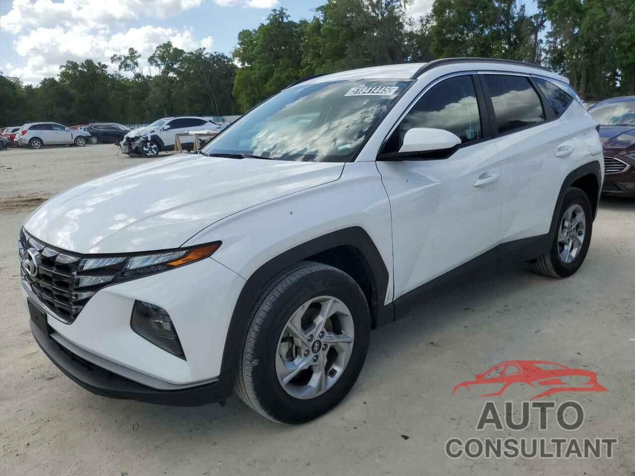 HYUNDAI TUCSON 2024 - 5NMJBCDE5RH354776