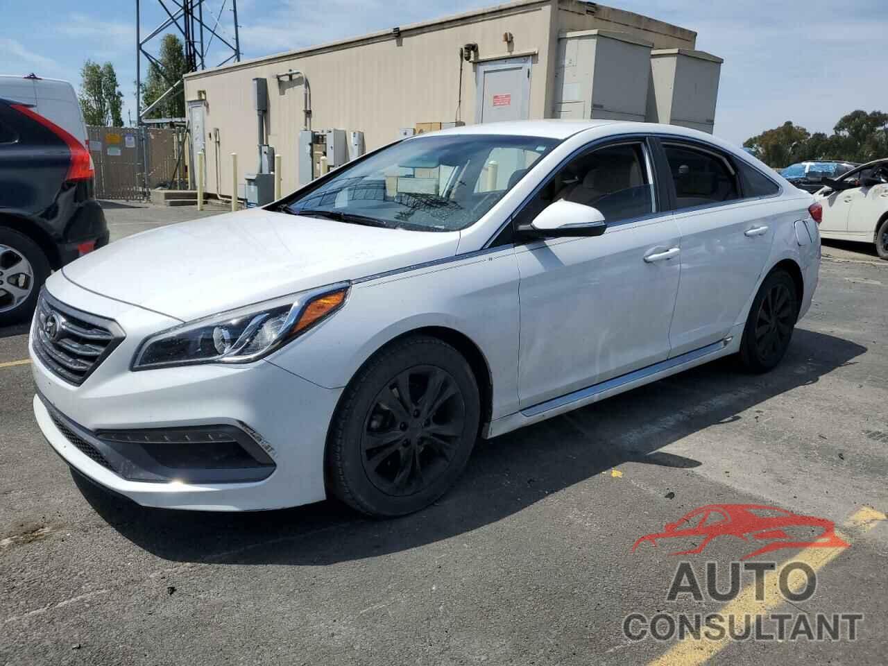 HYUNDAI SONATA 2016 - 5NPE34AF7GH321988