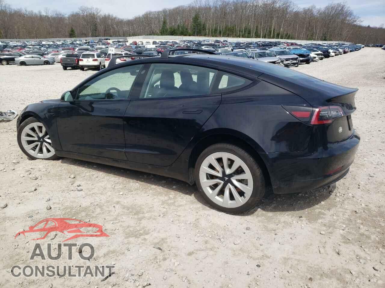 TESLA MODEL 3 2022 - 5YJ3E1EBXNF113588