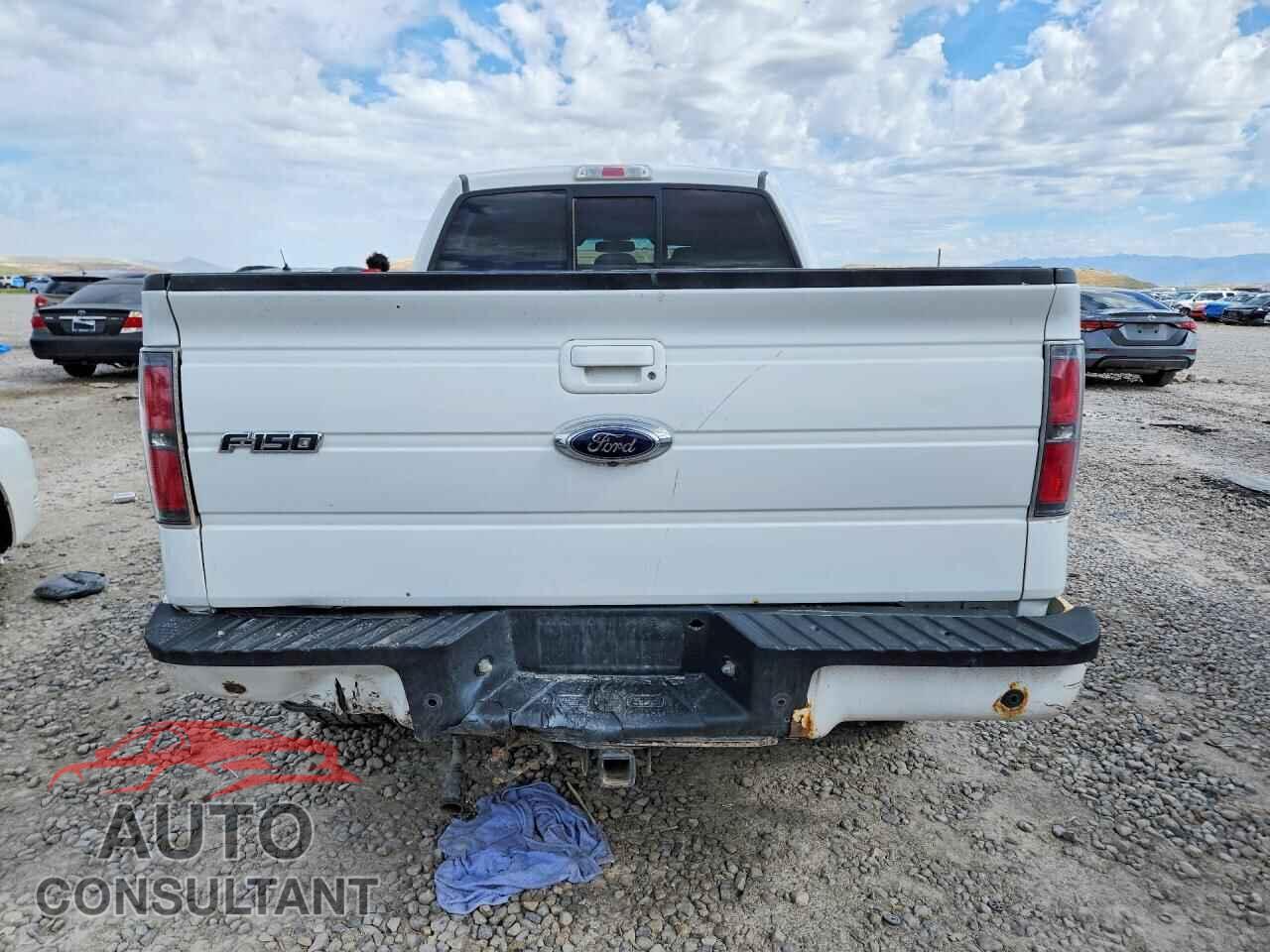 FORD F150 2013 - 1FTFW1ET2DKE31273