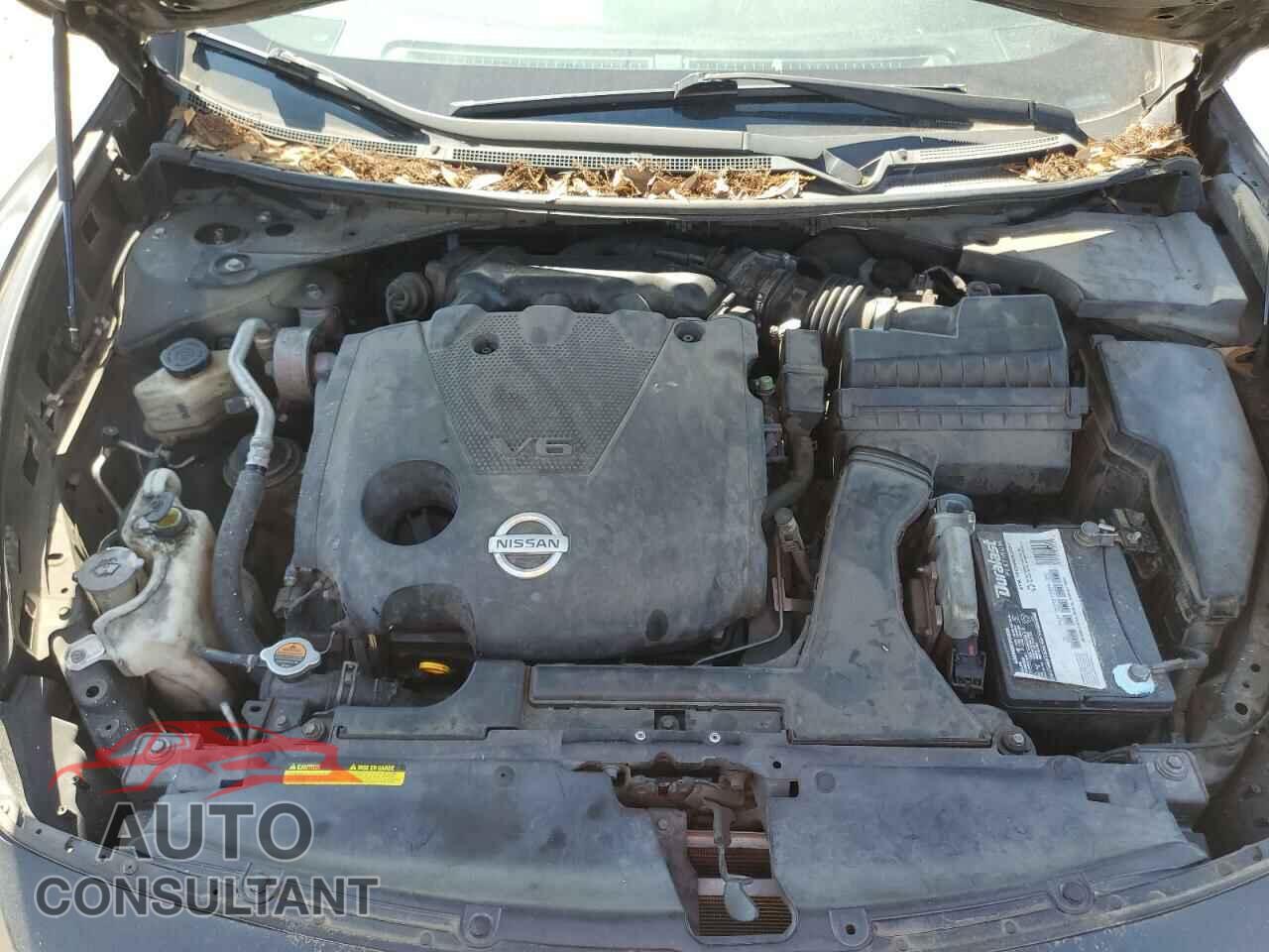 NISSAN MAXIMA 2009 - 1N4AA51E69C856493