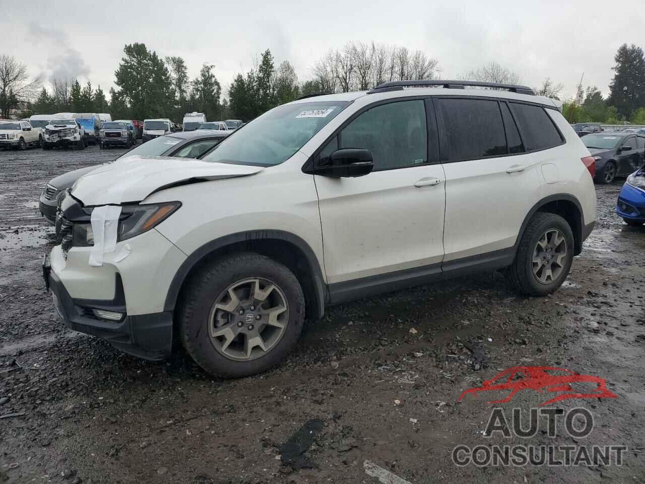 HONDA PASSPORT 2023 - 5FNYF8H65PB033631