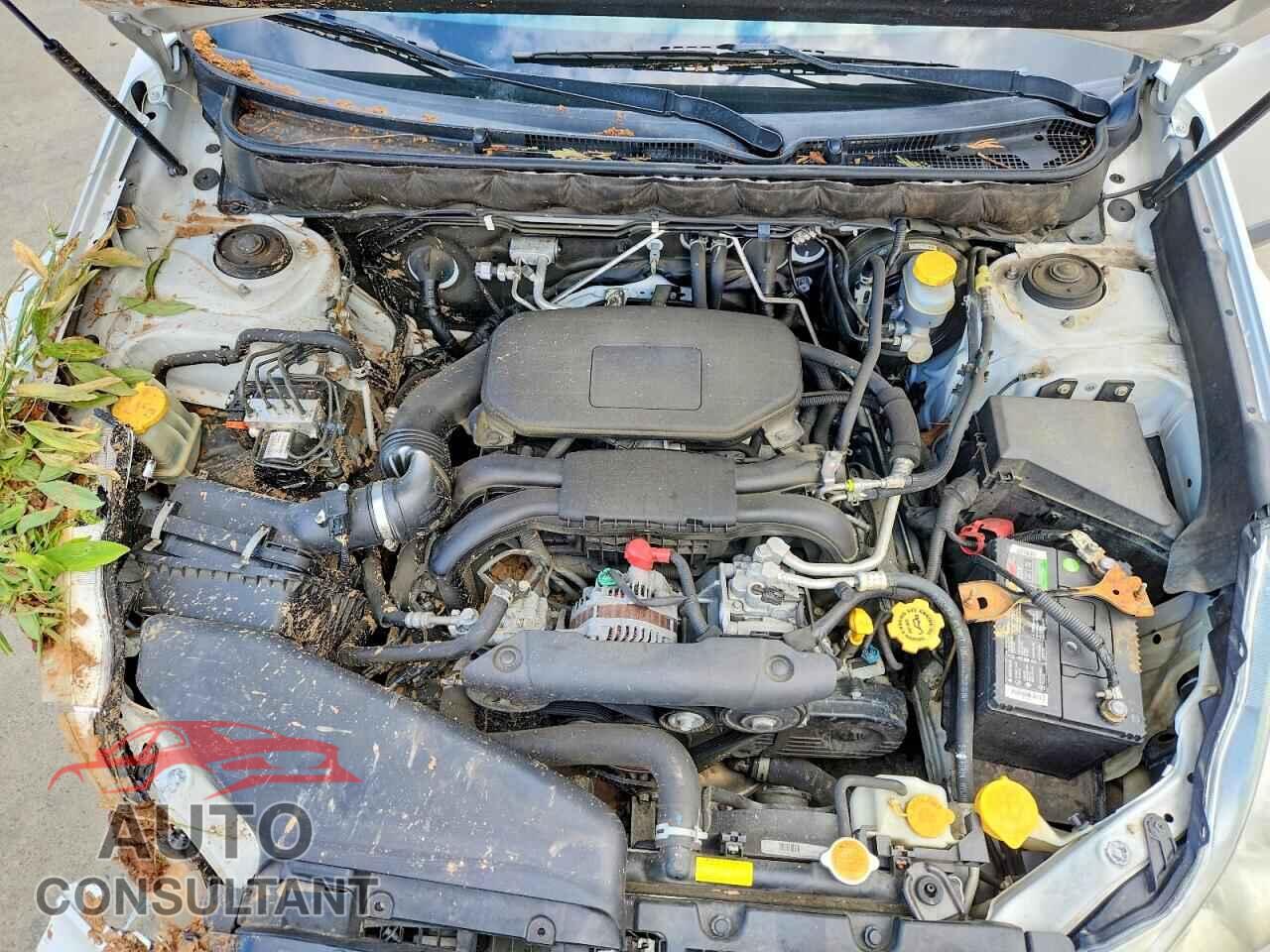 SUBARU OUTBACK 2010 - 4S4BRCCC8A3383428