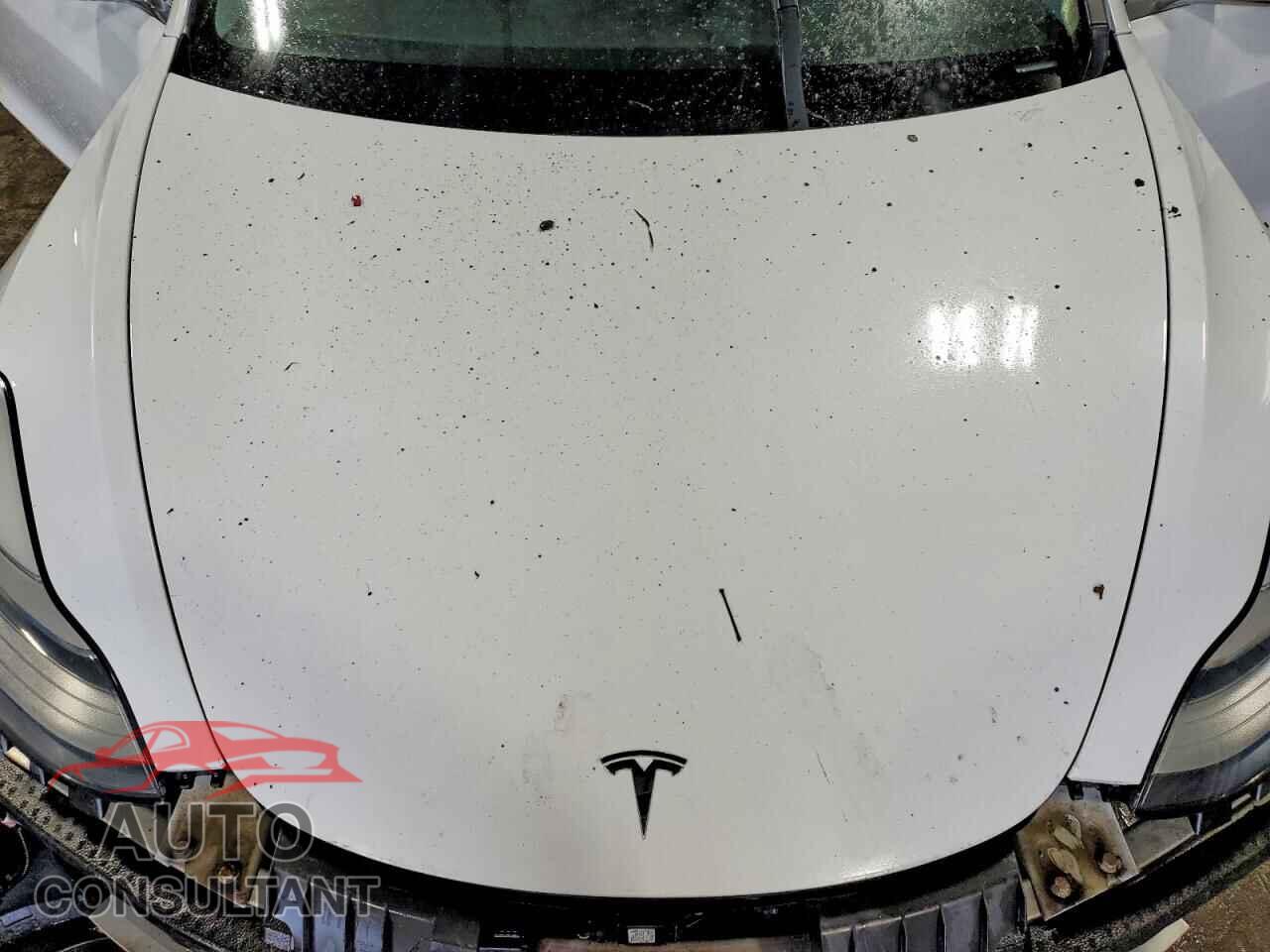 TESLA MODEL 3 2018 - 5YJ3E1EB8JF093884