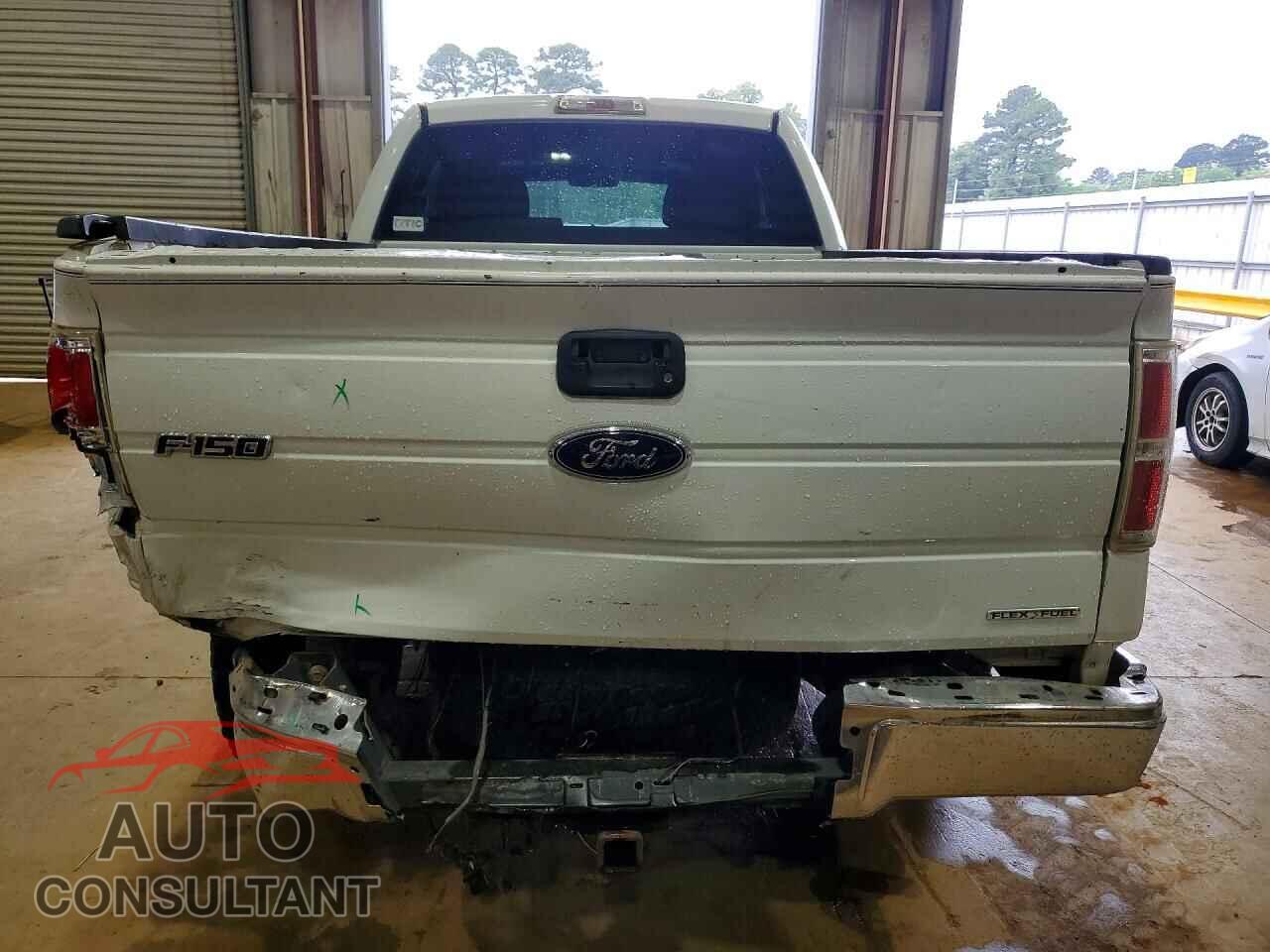 FORD F150 2010 - 1FTFX1EV3AKE21166