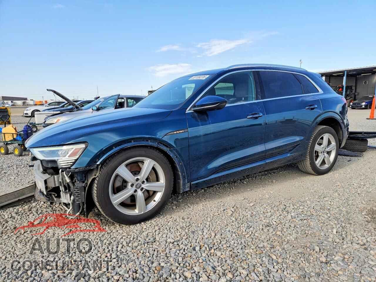 AUDI E-TRON 2019 - WA1LABGE3KB015343