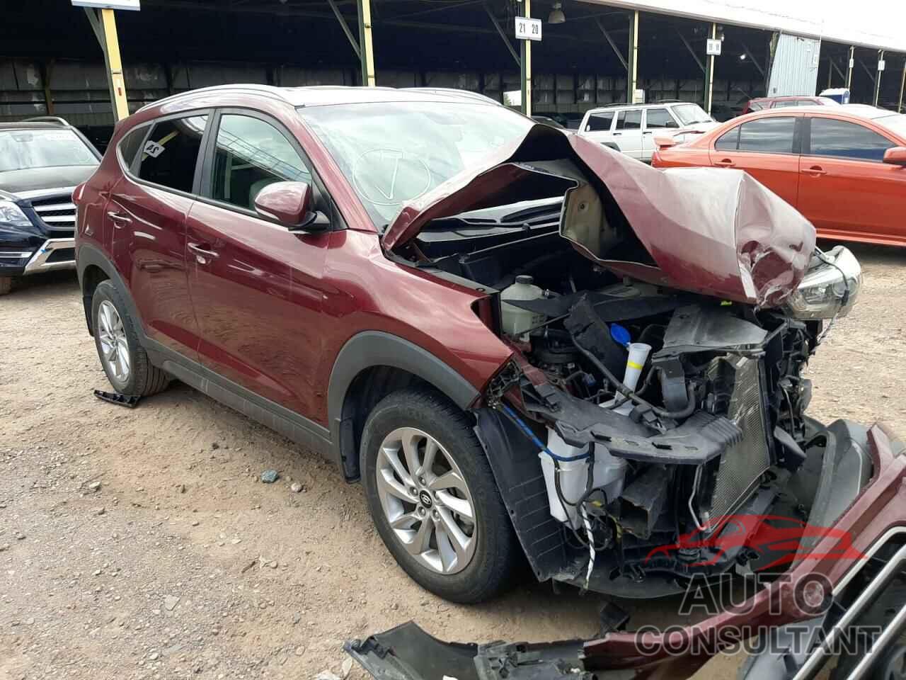 HYUNDAI TUCSON 2016 - KM8J33A29GU229630