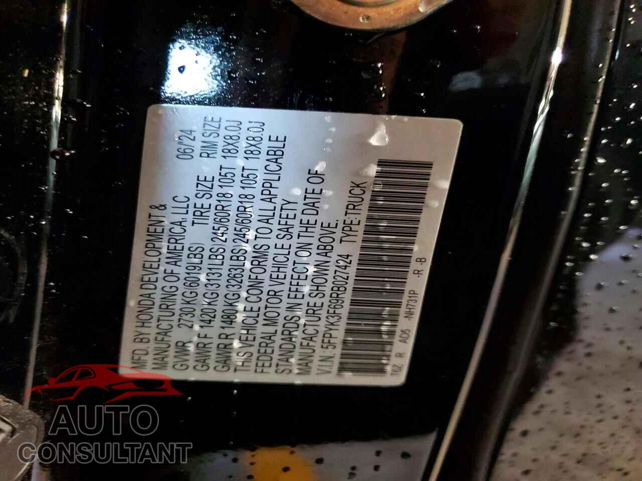 HONDA RIDGELINE 2024 - 5FPYK3F69RB027424