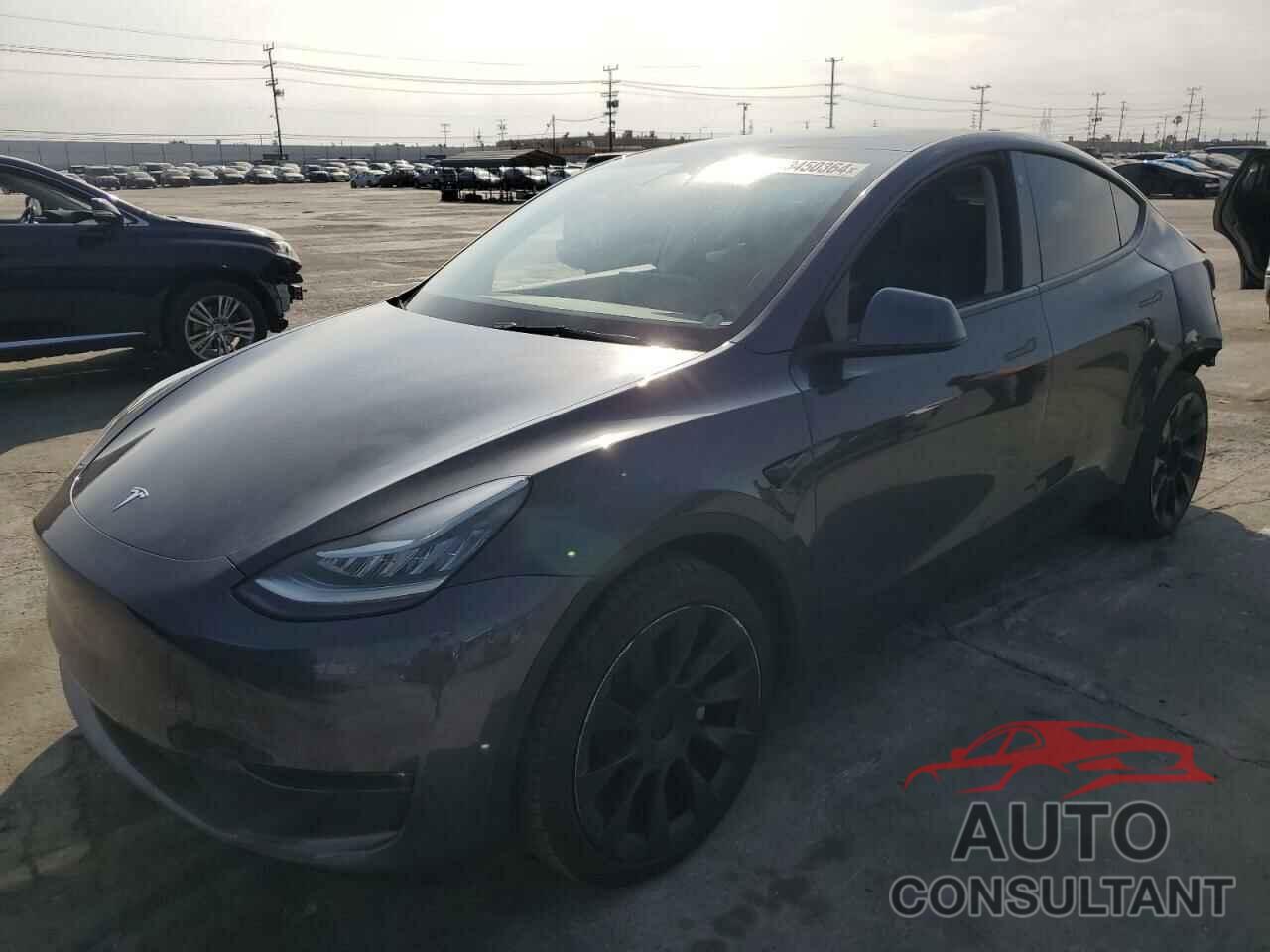 TESLA MODEL Y 2021 - 5YJYGDEE5MF269497