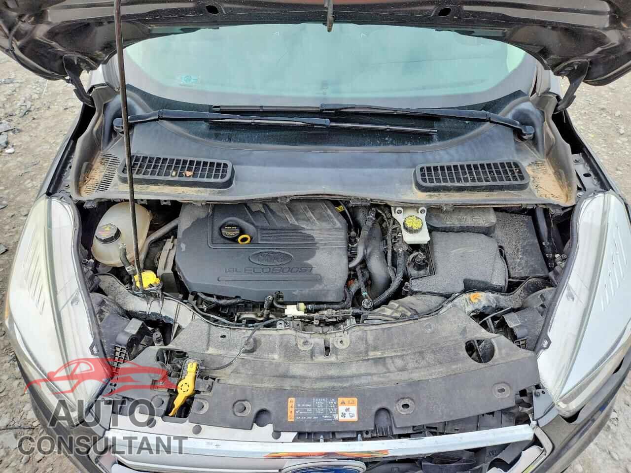 FORD ESCAPE 2017 - 1FMCU9GD8HUB79919