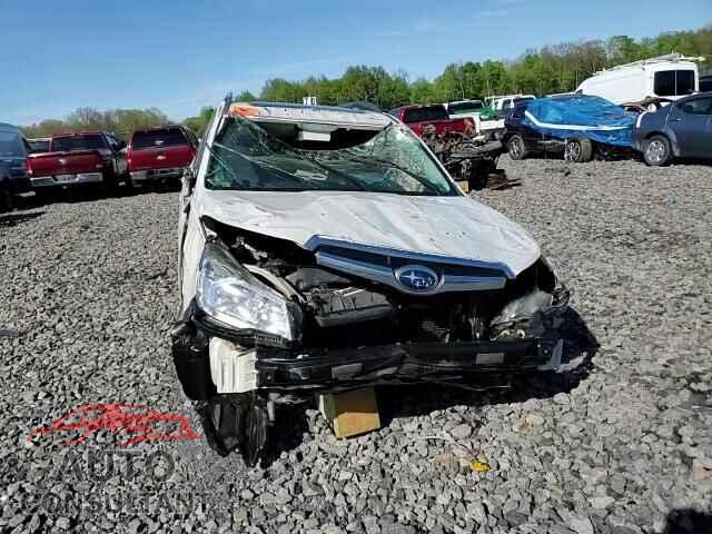 SUBARU FORESTER 2014 - JF2SJAEC2EH421890