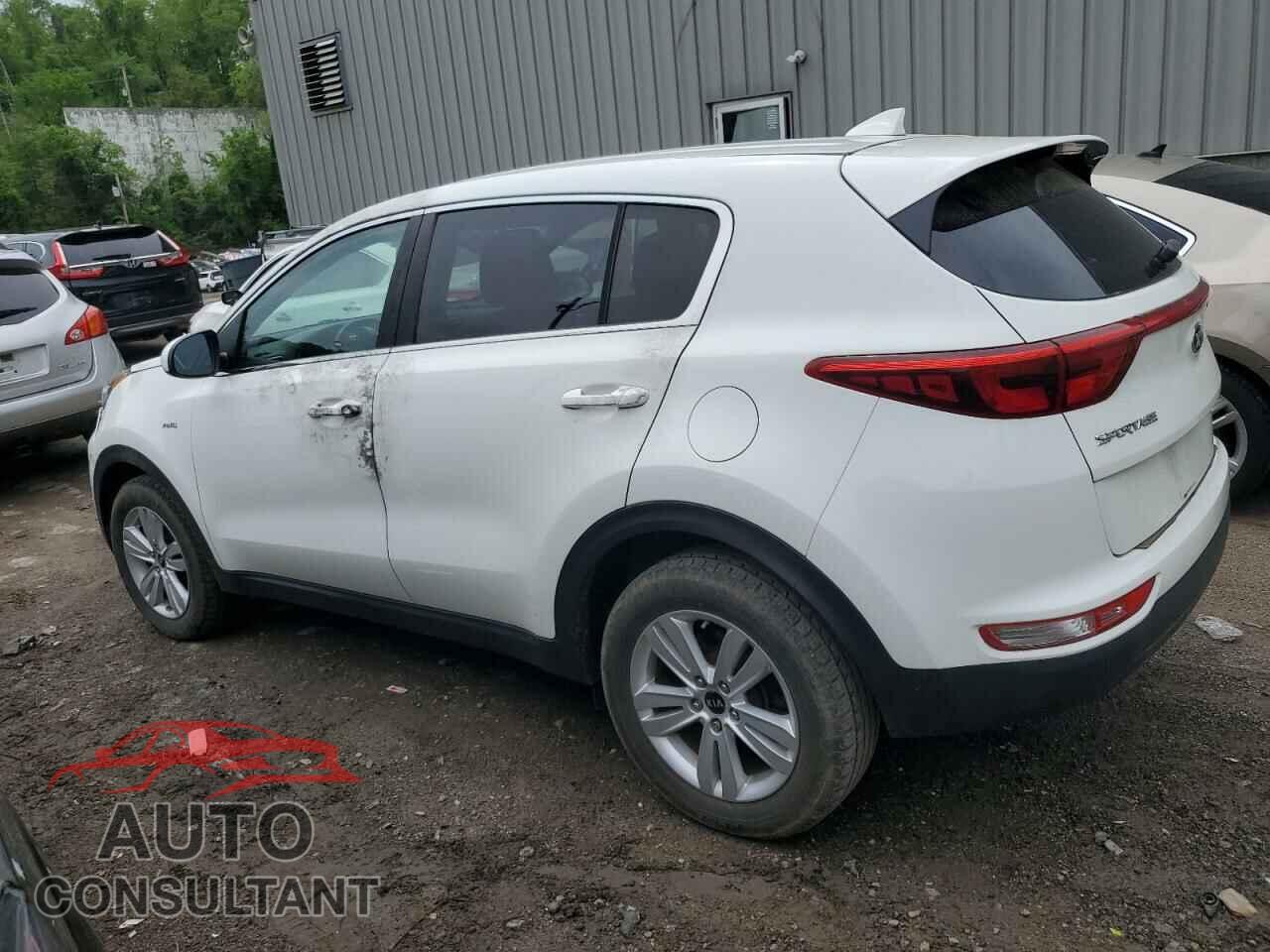 KIA SPORTAGE 2017 - KNDPMCACXH7155672