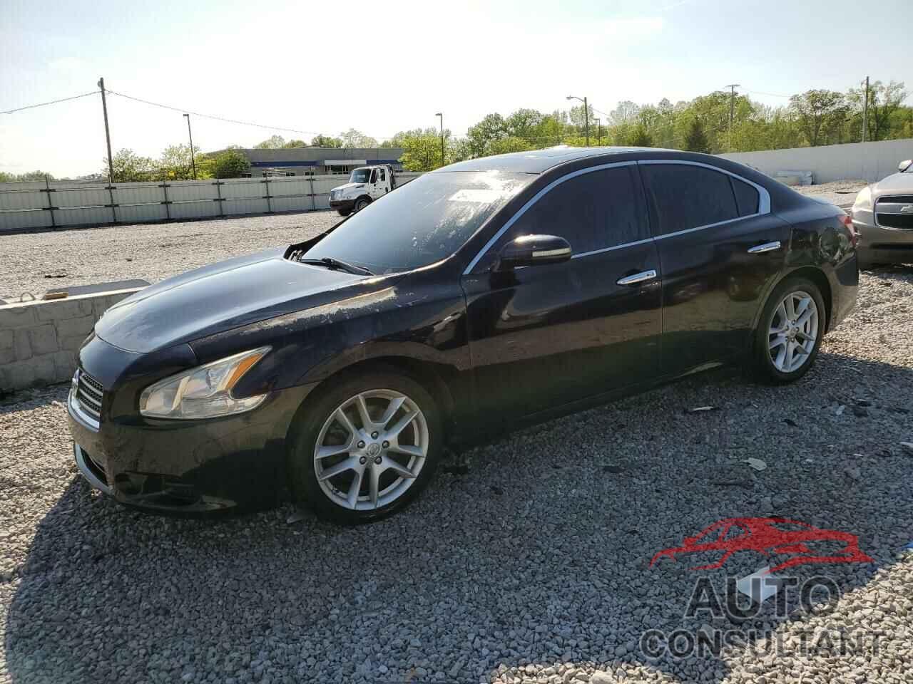 NISSAN MAXIMA 2009 - 1N4AA51E29C808358