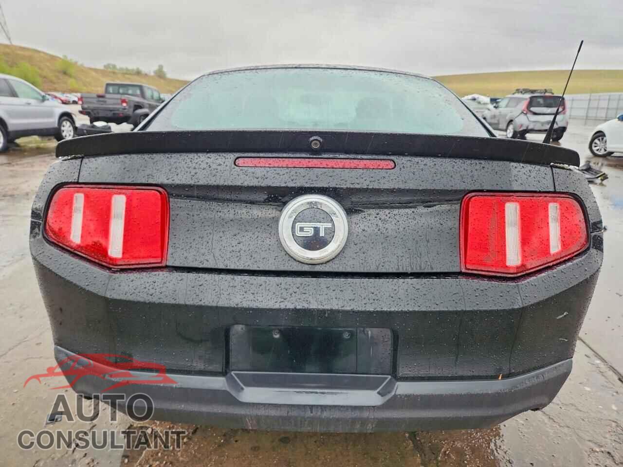 FORD MUSTANG 2010 - 1ZVBP8CH9A5114973