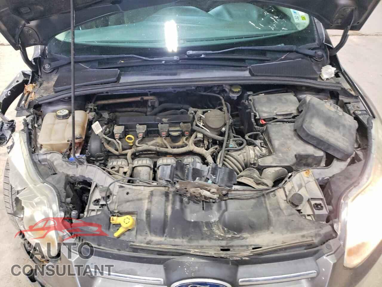 FORD FOCUS 2013 - 1FADP3F29DL161500