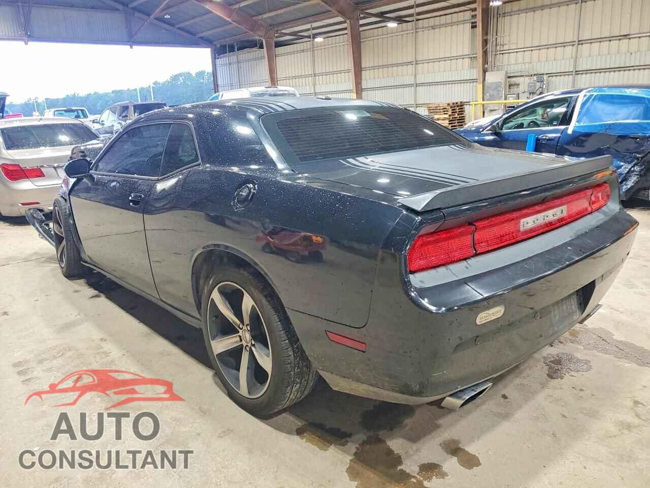 DODGE CHALLENGER 2014 - 2C3CDYBT9EH234135