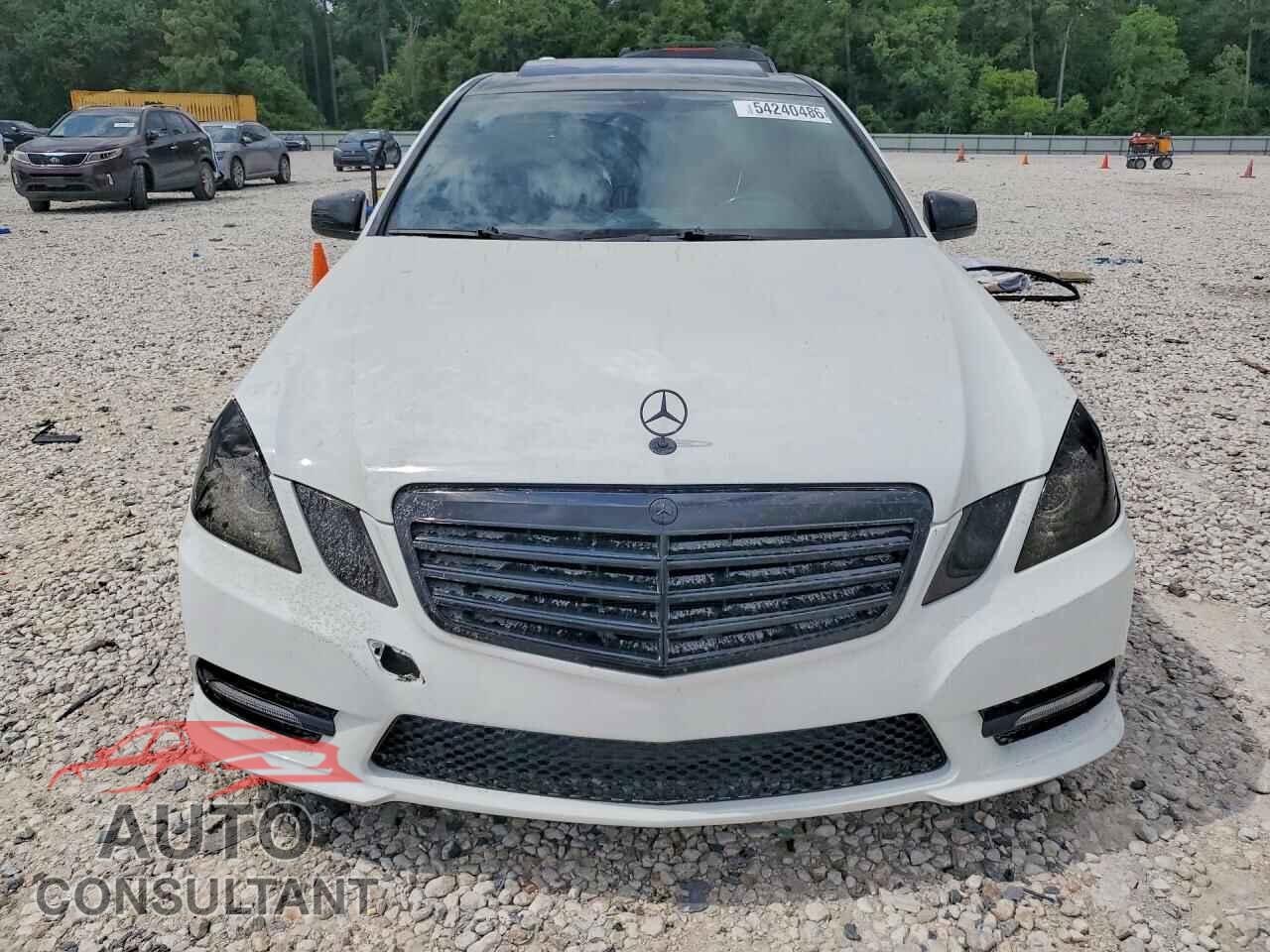 MERCEDES-BENZ E-CLASS 2010 - WDDHF5GB1AA068492