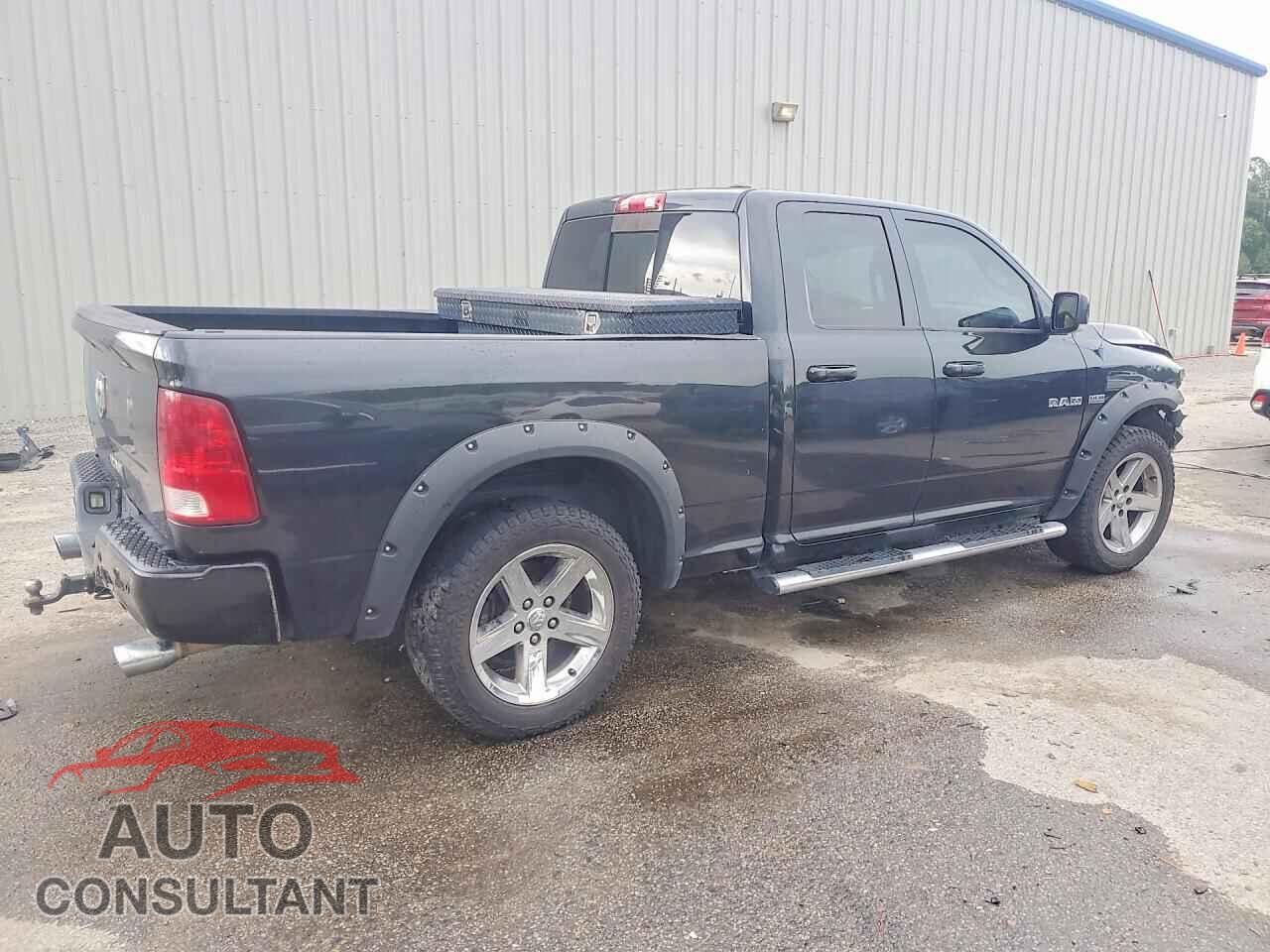 DODGE RAM 1500 2010 - 1D7RB1GT4AS214699
