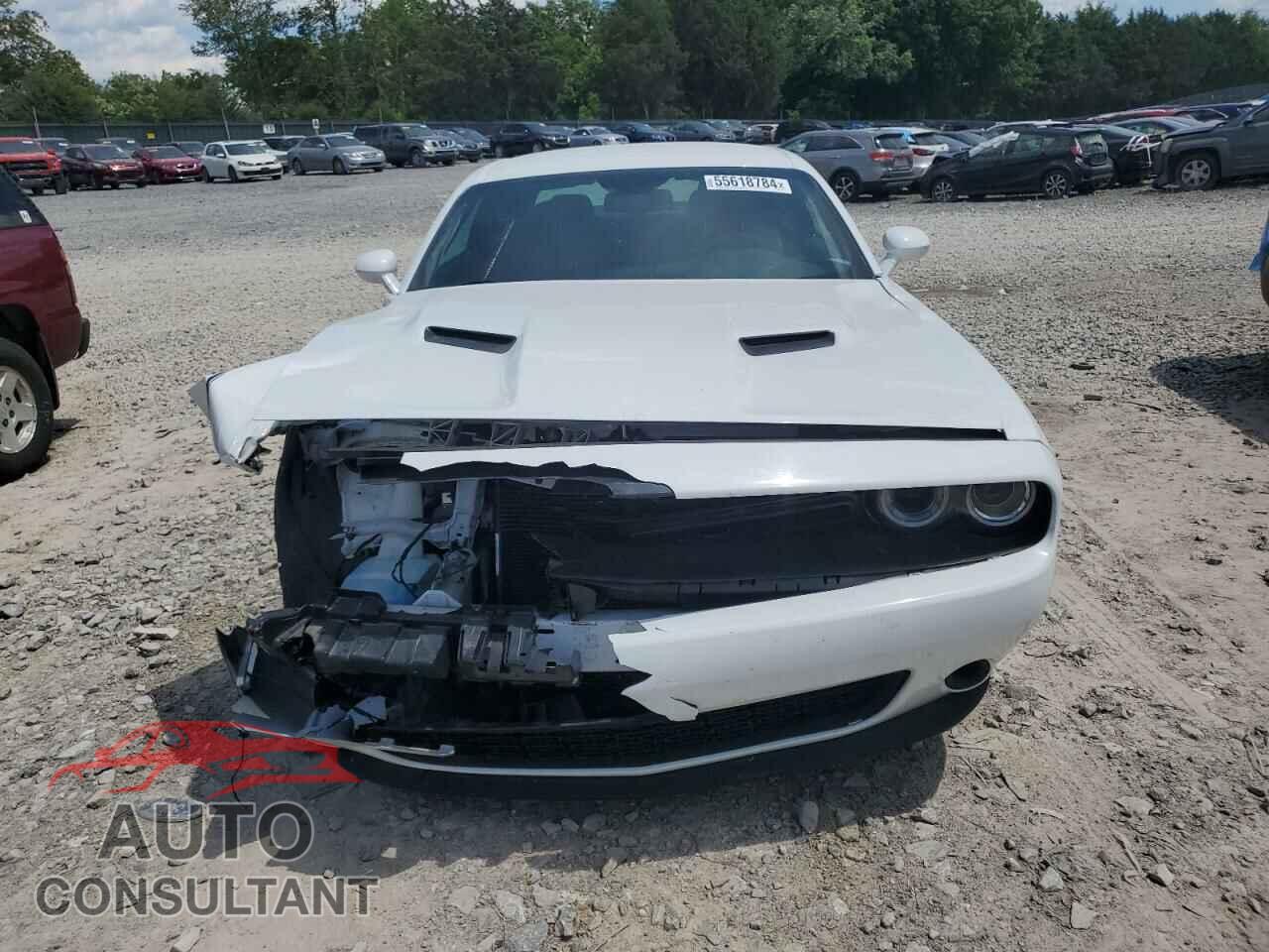 DODGE CHALLENGER 2019 - 2C3CDZAG5KH701895