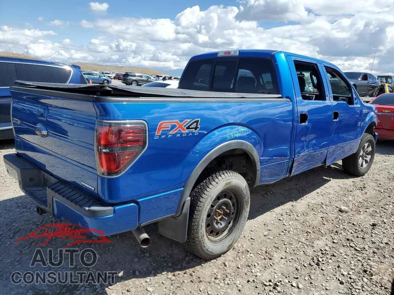 FORD F-150 2013 - 1FTFW1EF0DFD29134