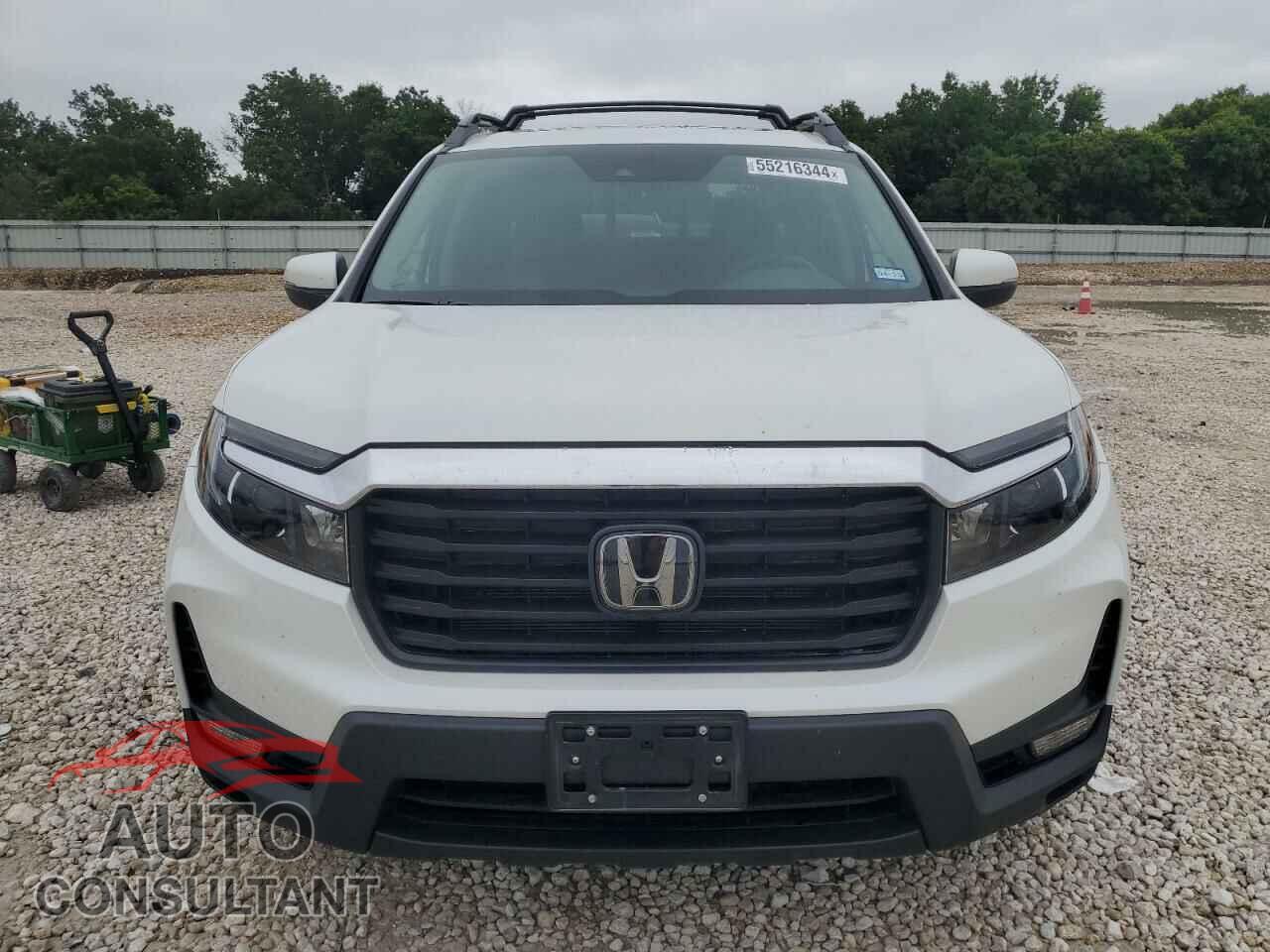 HONDA RIDGELINE 2023 - 5FPYK3F5XPB026562