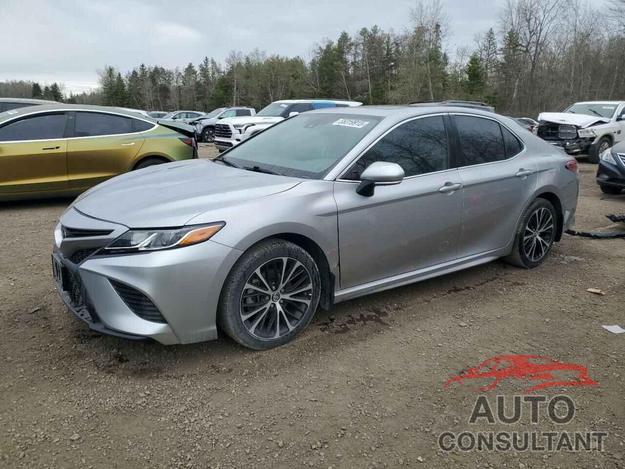 TOYOTA CAMRY 2019 - 4T1B11HK5KU691406