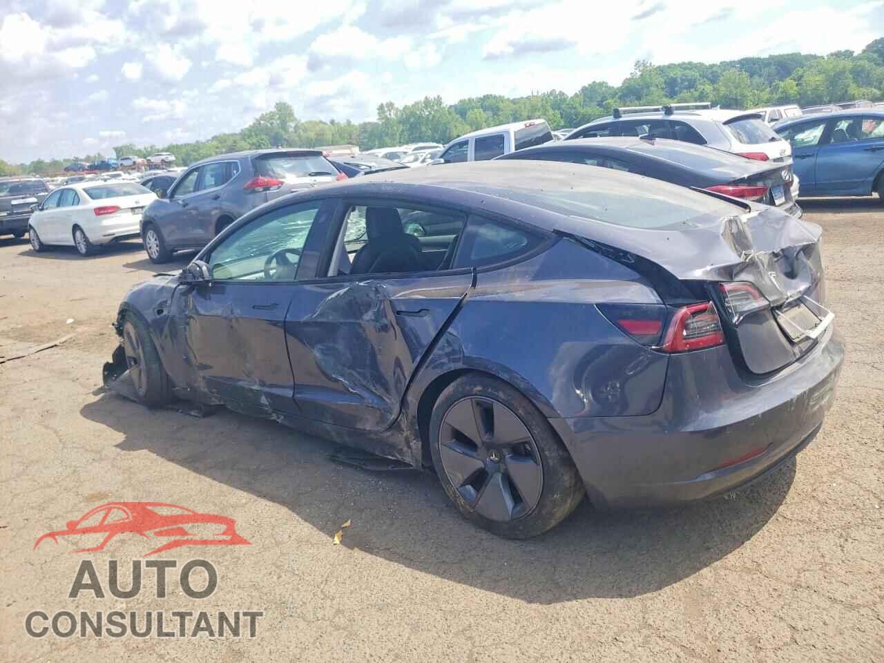 TESLA MODEL 3 2021 - 5YJ3E1EB0MF034137