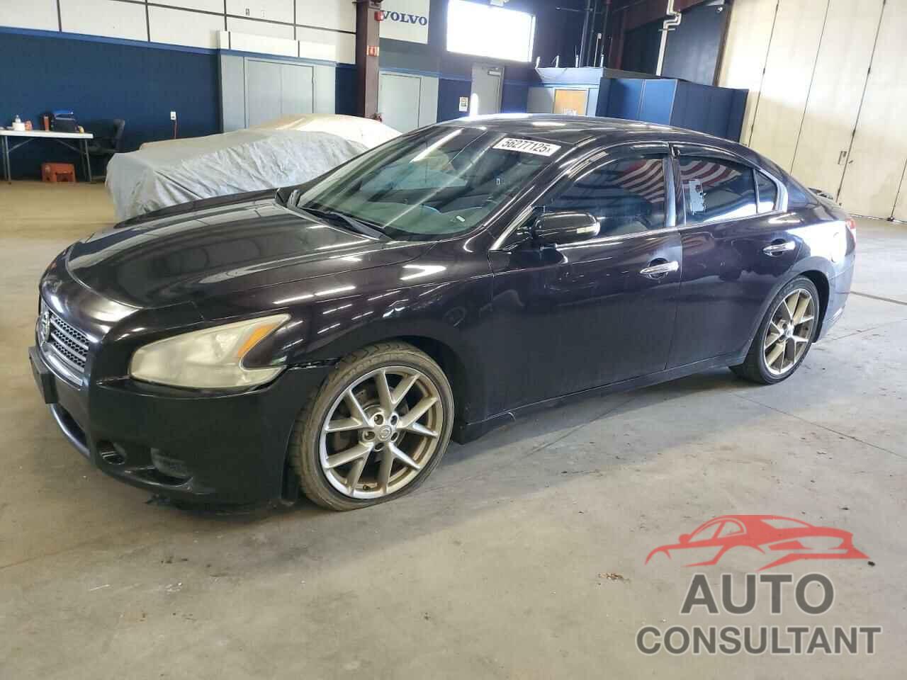 NISSAN MAXIMA 2010 - 1N4AA5AP7AC846576