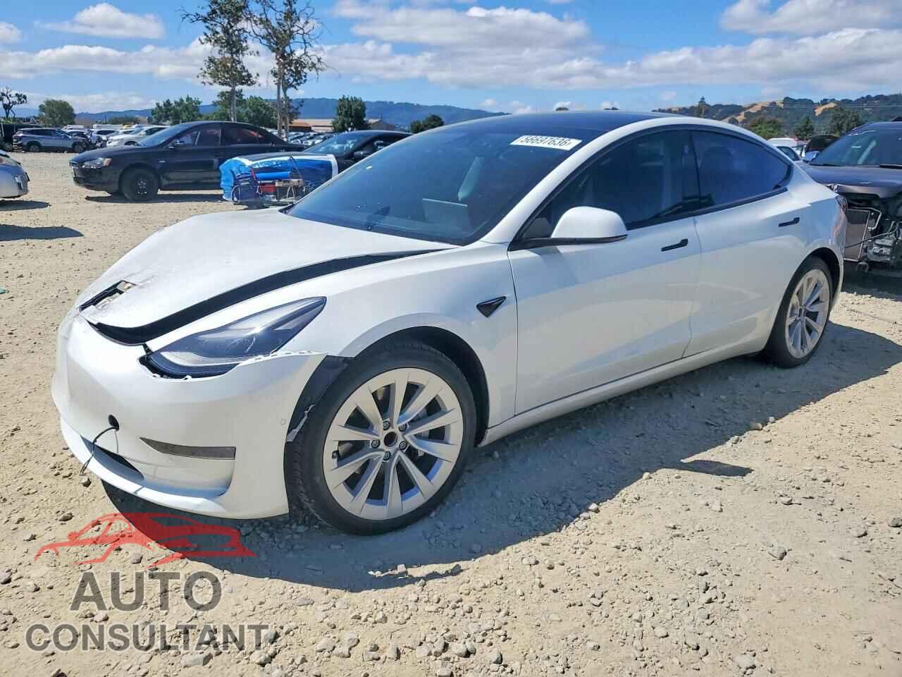 TESLA MODEL 3 2021 - 5YJ3E1EA7MF077574