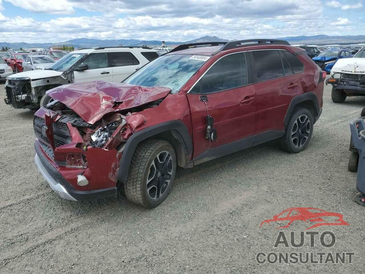 TOYOTA RAV4 2019 - 2T3J1RFV3KW040130