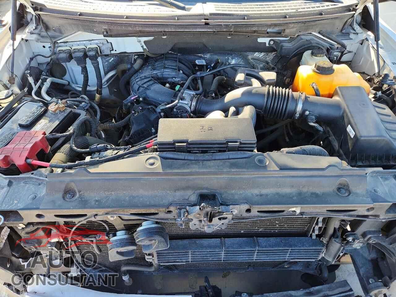 FORD F150 2013 - 1FTEX1EM0DFD83122