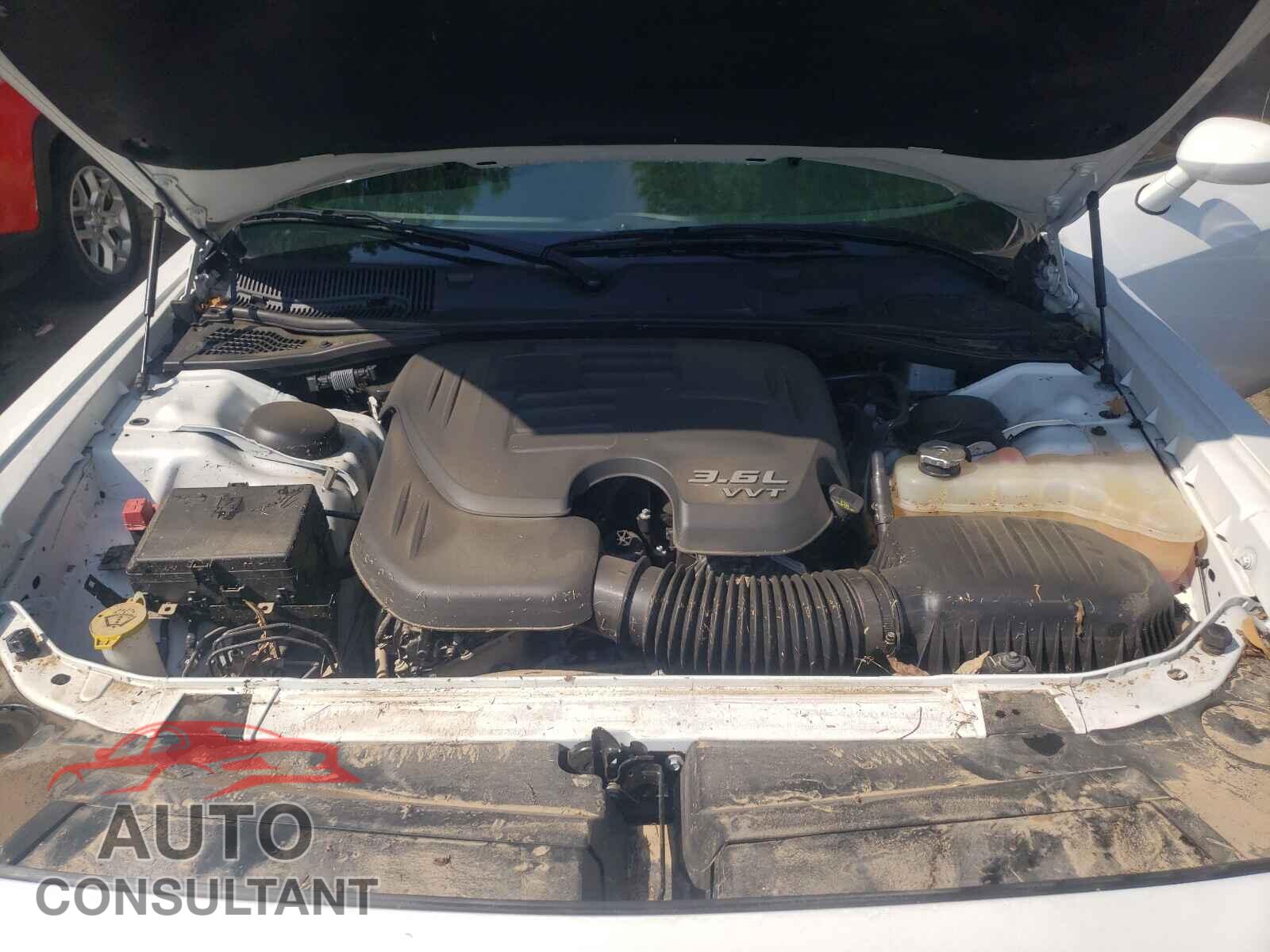 DODGE CHALLENGER 2019 - 2C3CDZAG3KH669500