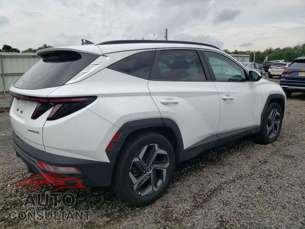 HYUNDAI TUCSON 2023 - KM8JFCA16PU092676