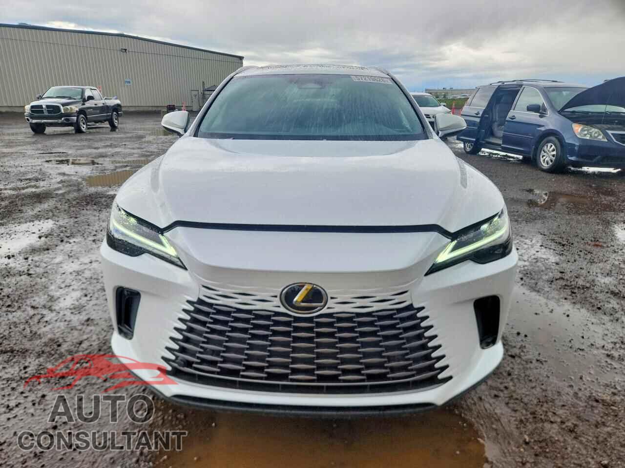 LEXUS RX300 2025 - 2T2BAMCA6SC106409