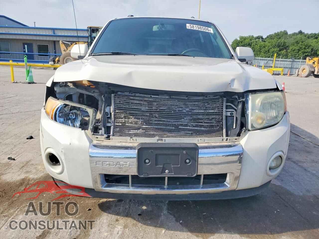 FORD ESCAPE 2010 - 1FMCU9EG4AKD45982