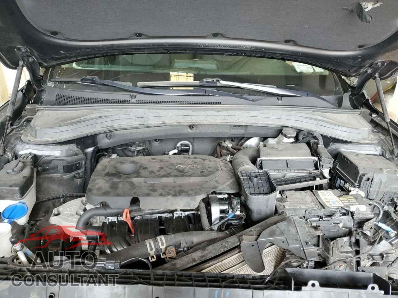 HYUNDAI SANTA FE 2019 - 5NMS2CAD5KH008166