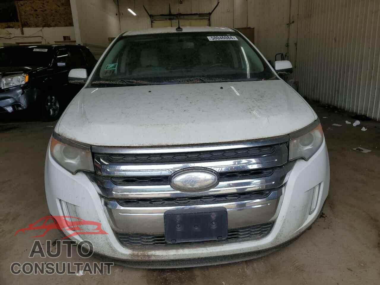 FORD EDGE 2011 - 2FMDK3JCXBBB67596
