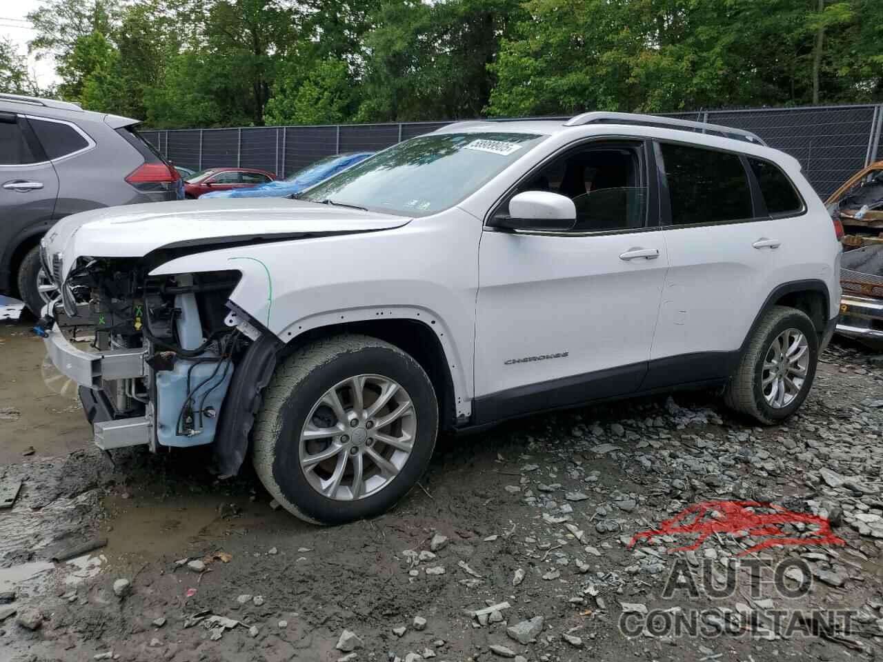 JEEP GRAND CHER 2019 - 1C4PJLCB9KD312162