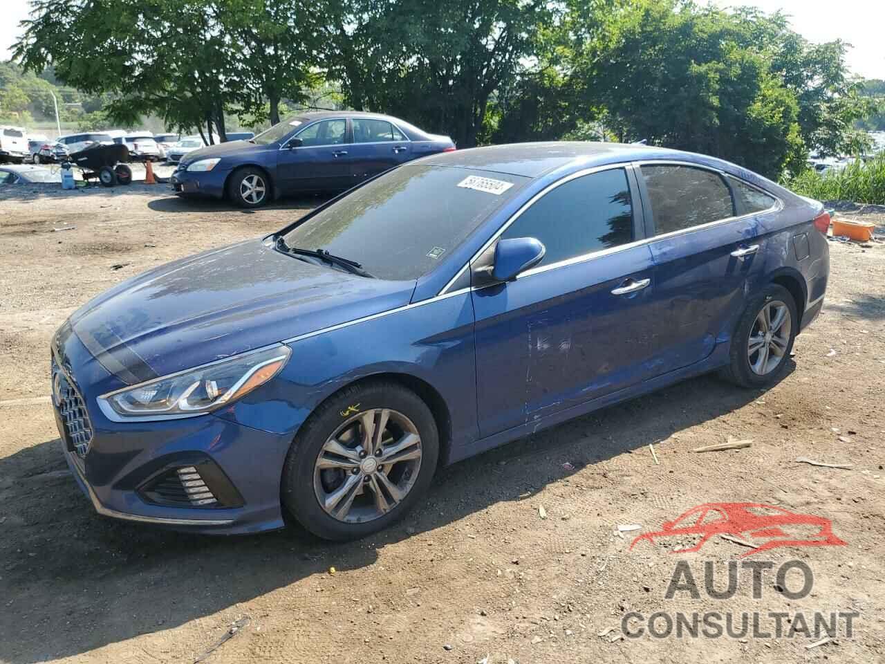 HYUNDAI SONATA 2019 - 5NPE34AF9KH783820