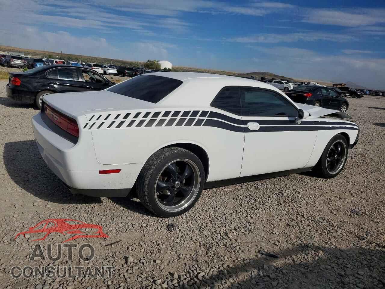 DODGE CHALLENGER 2013 - 2C3CDYAG3DH646098