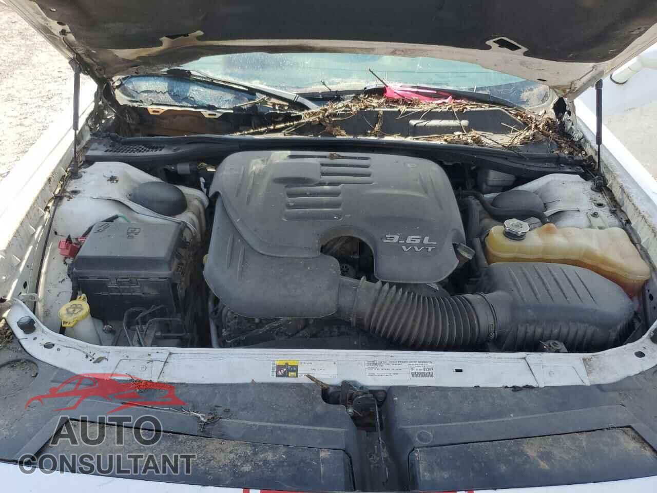 DODGE CHALLENGER 2014 - 2C3CDYAGXEH101839