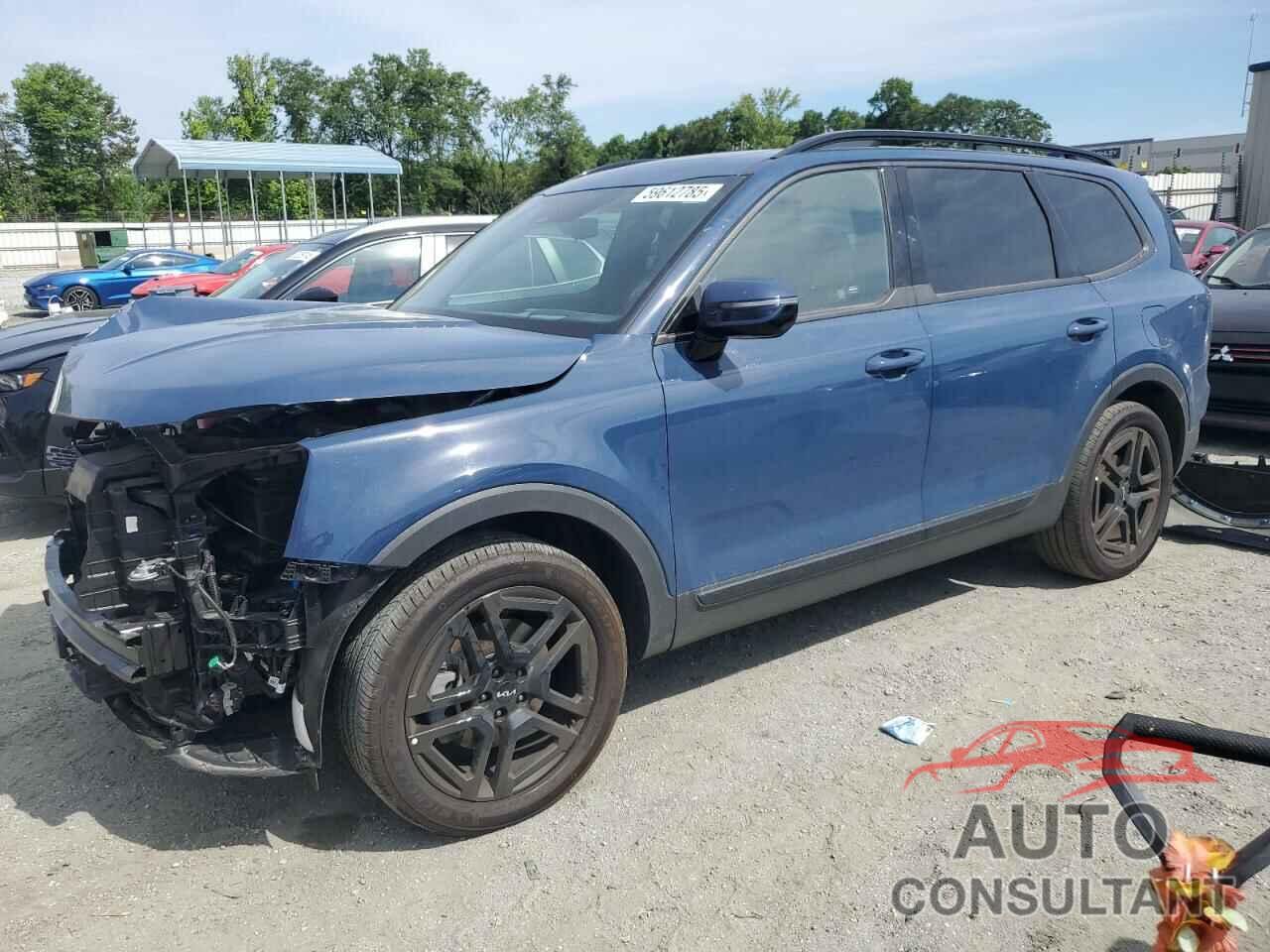 KIA TELLURIDE 2024 - 5XYP5DGC2RG535412