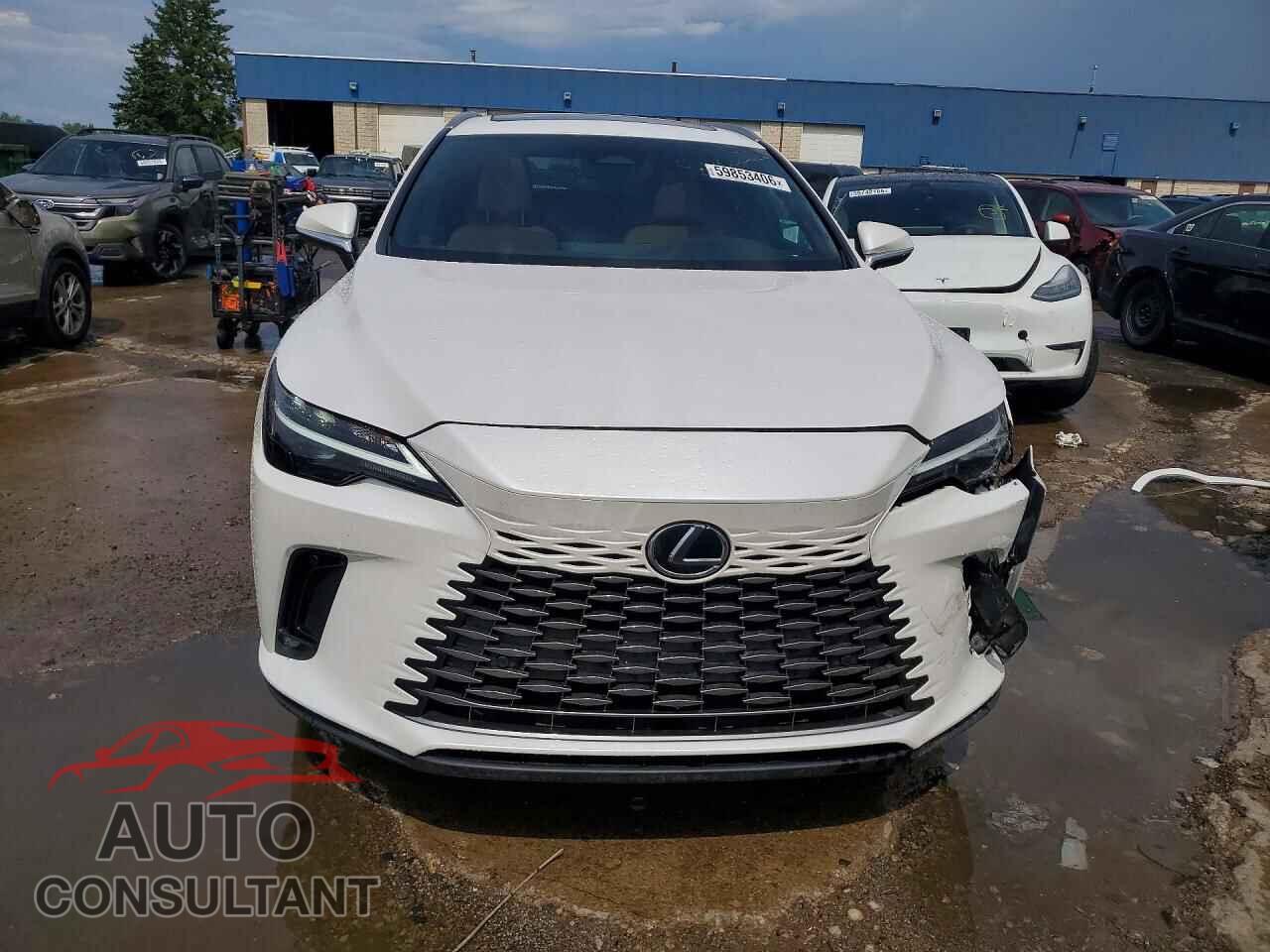 LEXUS RX350 2023 - 2T2BAMCA7PC032005