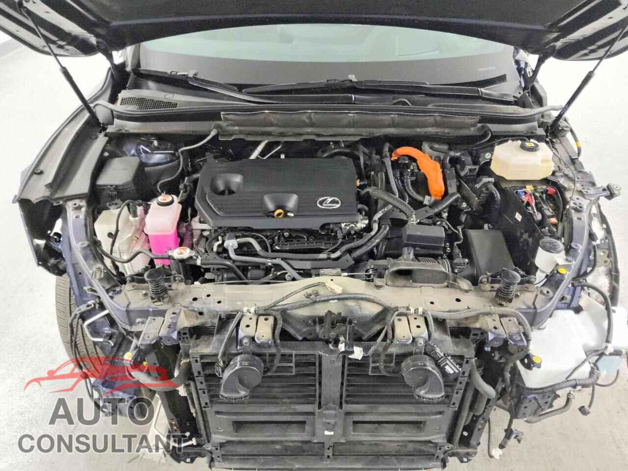 LEXUS UNKNOWN 2023 - 2T2BBMCA6PC016715